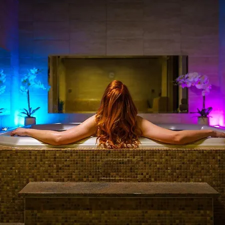 Millenium Κάρλοβι Βάρι